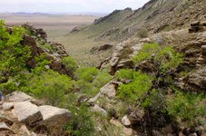 Mongolie — photo 3