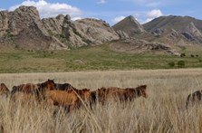 Jour 3 — Oulan-Bator → Khugnu Khan — photo 1