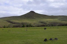 Jour 6 — Étape 3 — « Vallée d'Orkhon, la plaine » — photo 3