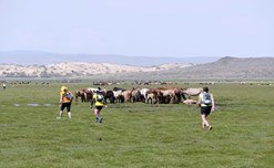 Jour 8 — Étape 4 — Champ de dunes de Mongol Els — photo 11