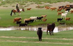 Jour 8 — Étape 4 — Champ de dunes de Mongol Els — photo 14
