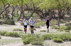 Jour 8 — Étape 4 — Champ de dunes de Mongol Els — photo 9